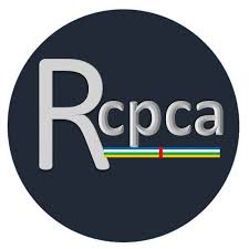 RECRUTEMENT D’UN EXPERT EN COMMUNICATION AU SECRÉTARIAT PERMANENT DU RCPCA