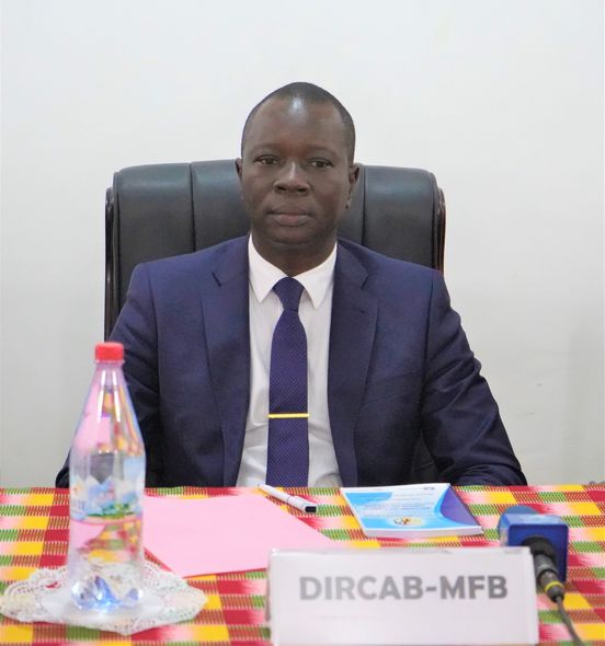 Directeur de Cabinet ππππππ ππππππππ