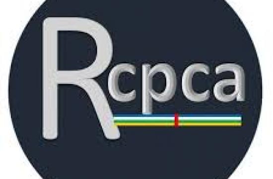 RECRUTEMENT D’UN EXPERT EN COMMUNICATION AU SECRÉTARIAT PERMANENT DU RCPCA